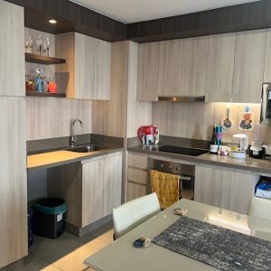 Arriendo Impecable Depto.  Ricardo Wagner/ Av. Ossa/La Reina full